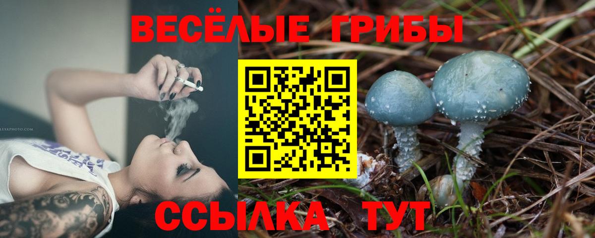 Галлюциногенные грибы Psilocybine cubensis Лыткарино