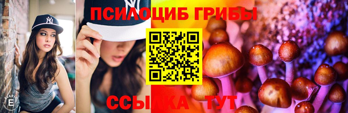 Лыткарино  Псилоцибиновые грибы ЛСД  Вход с VPN 